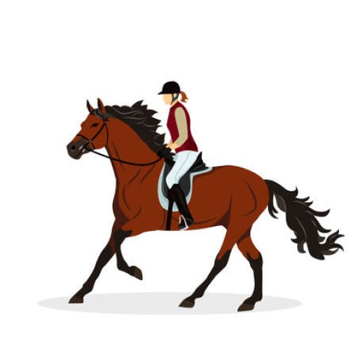 Endurance Equestre