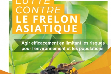 LUTTE CONTRE LE FRELON ASIATIQUE