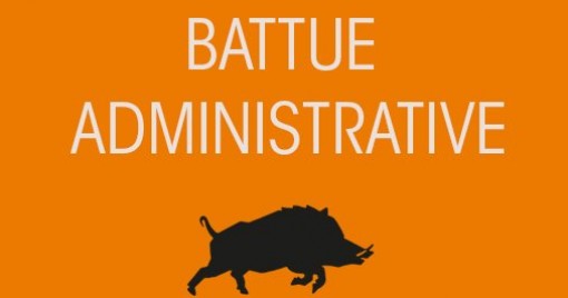 INFORMATION : BATTUE ADMNISTRATIVE AUX SANGLIERS