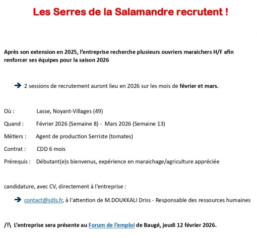 OFFRE D'EMPLOI