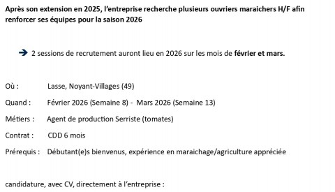 OFFRE D'EMPLOI