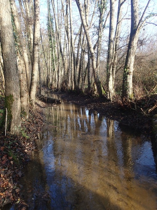 RAPPEL - PRELEVEMENT RIVEROLLE