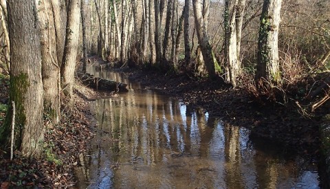 RAPPEL - PRELEVEMENT RIVEROLLE