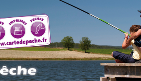 Pêche