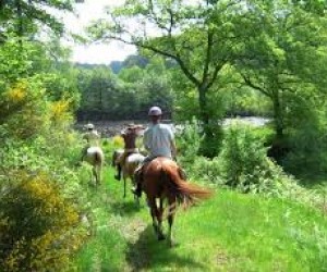 Endurance &eacute;questre