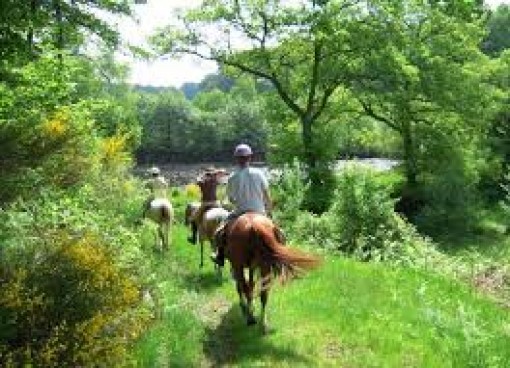 Endurance &eacute;questre