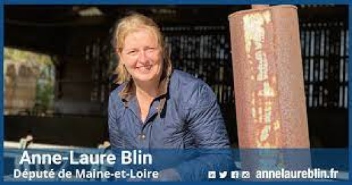 Cérémonie des Voeux - Annne-Laure BLIN, député
