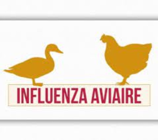 VIRUS INFLUENZA AVIAIRE