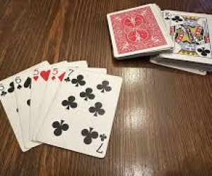 Rassemblement avec le Gu&eacute;d&eacute;niau - Club de l'Amiti&eacute;