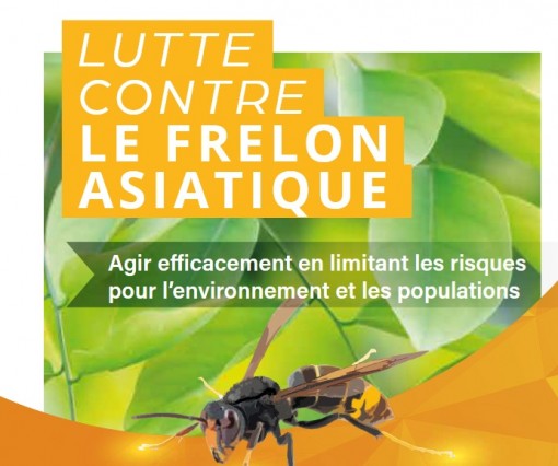 LUTTE CONTRE LE FRELON ASIATIQUE