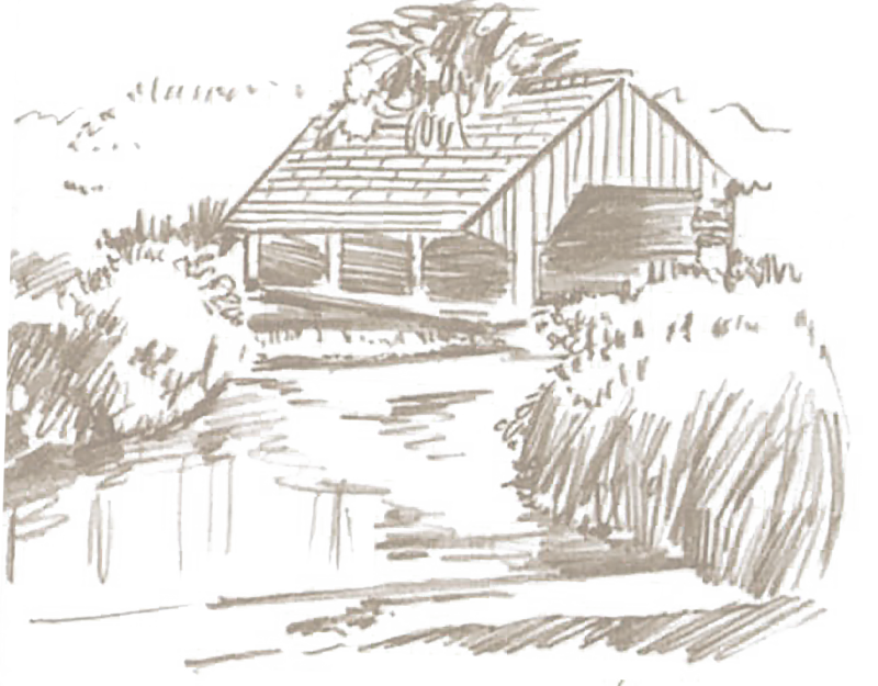 Illustration du lavoir