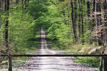 Photographie d'un chemin de randonné